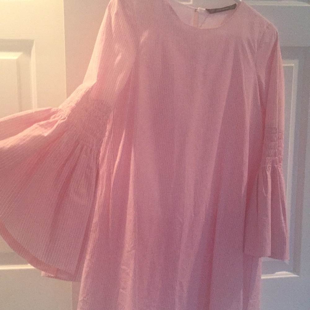 Zara Dress with bell sleeves